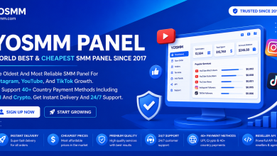 YOSMM Panel dashboard promoting the world's best and cheapest SMM panel since 2017 with YouTube, Instagram, TikTok growth services, instant delivery, 24/7 support, reseller API, UPI, crypto, and 40+ payment methods.