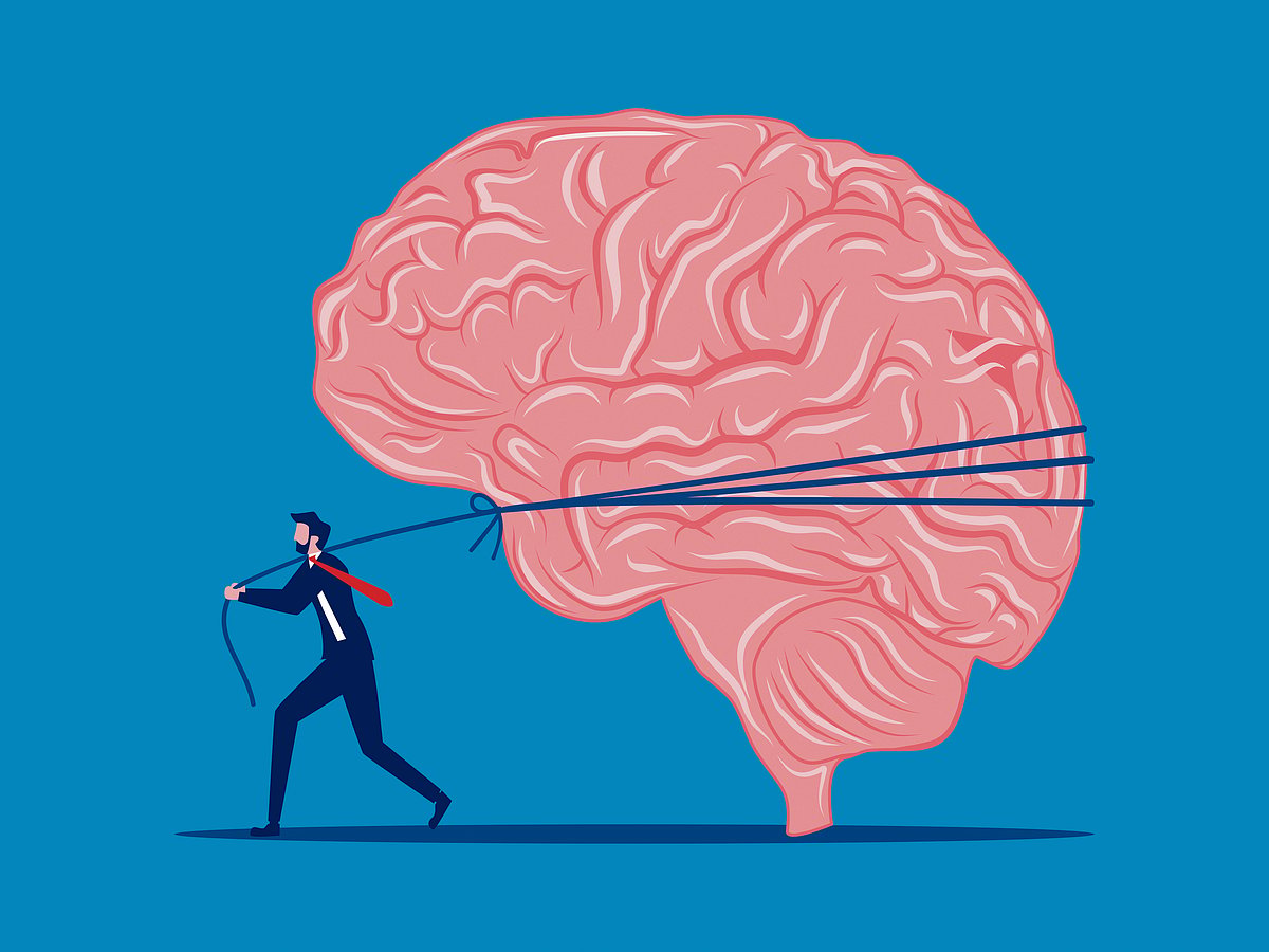 The Illusion of Free Will: Insights from Alien Hand Syndrome to Brain Science