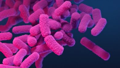 Climate change linked with rise in antibiotic resistance genes in salmonella: analysis