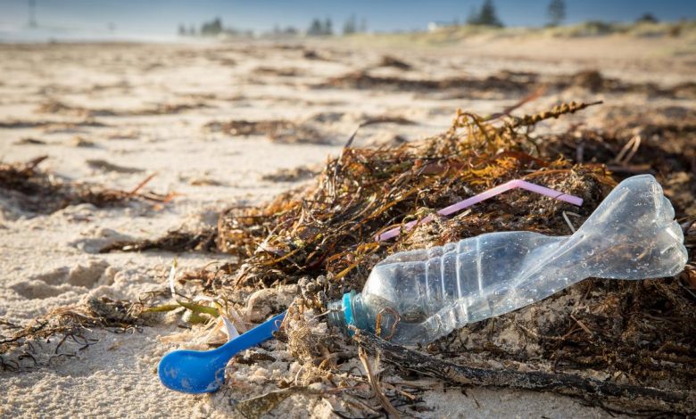 Earth Day 2026: India’s plastic crisis and blame game