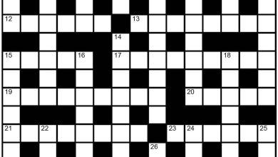 The Hindu Sunday crossword no. 53