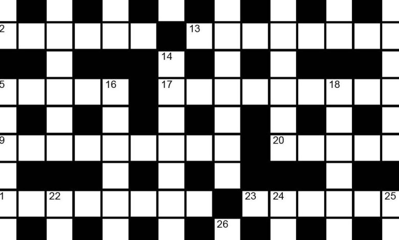 The Hindu Sunday crossword no. 53