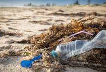 Earth Day 2026: India’s plastic crisis and blame game