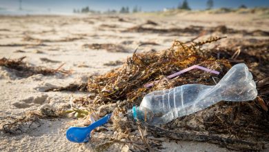 Earth Day 2026: India’s plastic crisis and blame game