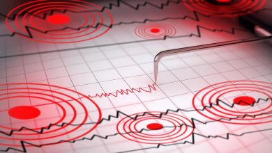 Earthquake of magnitude 5.5 strikes Czech Republic and Slovakia, GFZ says