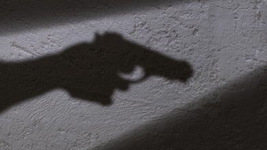Former bouncer kills two sisters-in-law in Raipur after dispute with wife