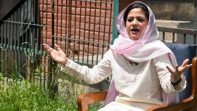 Iltija Mufti flags shrinking Amarnath lingam, raises concerns over environmental impact