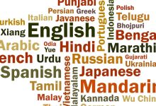 An open letter to the Union Minister for Education