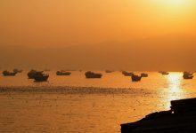 Peace deal: Cautious Indian shipowners seek govt. help