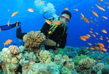 World Oceans Day 2026: How diving is changing lives in Andaman’s Karen and Ranchi communities
