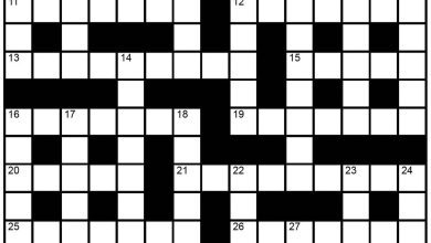 The Hindu Sunday crossword no. 62