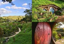 There and back again: A Tolkien fan’s pilgrimage to Hobbiton, New Zealand