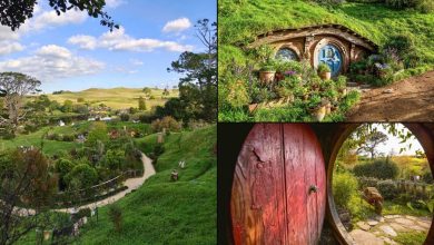 There and back again: A Tolkien fan’s pilgrimage to Hobbiton, New Zealand