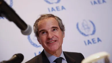 IAEA chief says Iran nuclear sites will be inspected under US-Iran interim deal