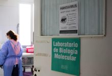 French hantavirus patient is critically ill, on artificial lung as total cases grow to 11