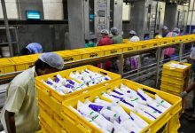 Extreme heat tests India's record milk production