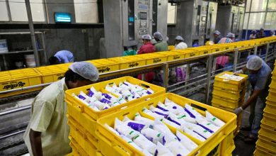 Extreme heat tests India's record milk production