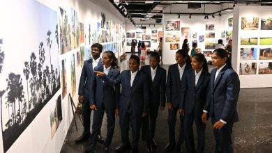 Lives Among The Palms: Students from the palmyrah belt turn the lens on life, landscape and labour