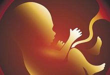 AIIMS Delhi researchers show exactly how particulate matter affects foetuses