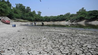 One day of extreme heat causes 3,400 excess deaths across India, study estimates