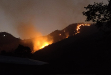 What fighting a forest fire near my farm taught me about community