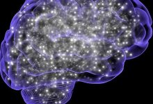 Study suggests mechanism by which physical movement could be linked with brain's cleansing process