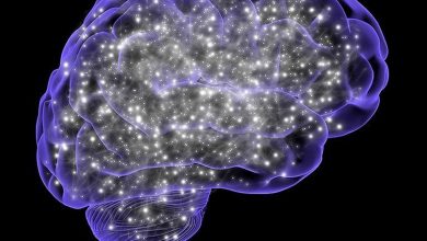 Study suggests mechanism by which physical movement could be linked with brain's cleansing process