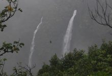 Forest Department enforces ban on entry to forests and water falls