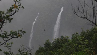 Forest Department enforces ban on entry to forests and water falls