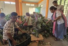 Roadside vendors turned exporters: Meghalaya’s ‘numbered’ farmers reap fruits of labour