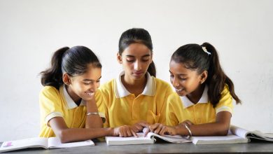 55% teachers are women, girl student enrolment up: govt.