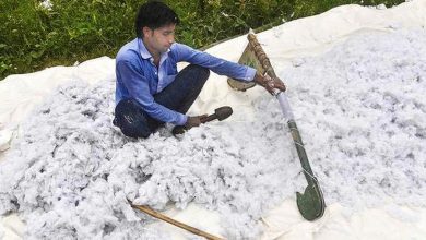 Government exempts import duty on cotton till October 30