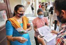 IBPS PO 2024 Mains: Result declared at ibps.gov.in