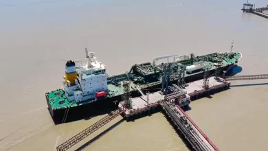 The Hormuz Crisis and India’s 100-Day Test