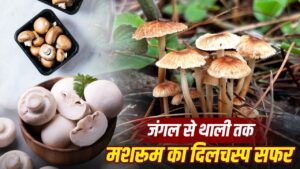 From Kukurmuta to Mushroom: How a Rain-Grown Ingredient Became a Popular Vegetable