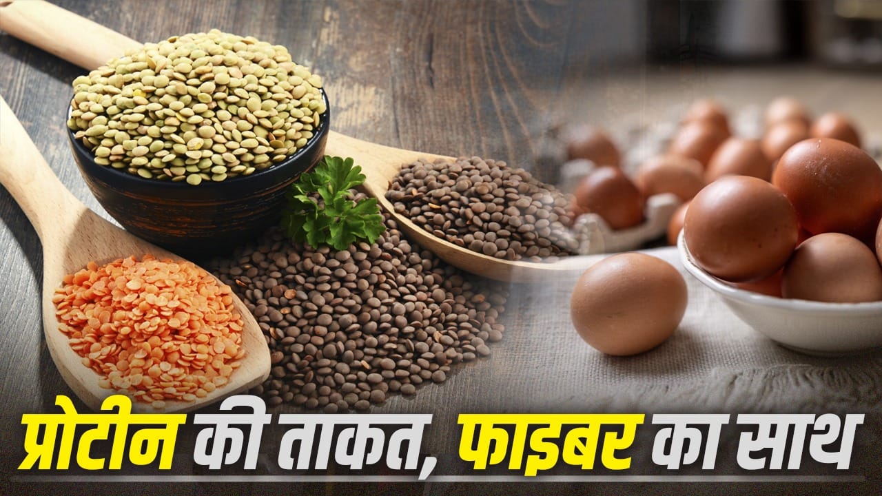 Focus on Protein but Don’t Ignore Fiber: 5 Foods Rich in Both
